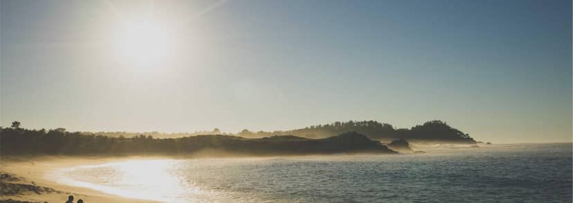 Unauth title PFZFssfs