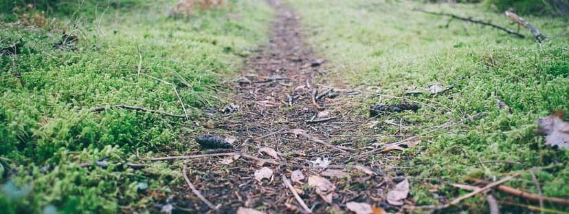 Unauth title zYcrpToL